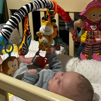 Дуга SHARKTOYS Зебра со съемными игрушками: отзыв пользователя Детский Мир