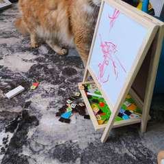 Фото отзыва 11038700