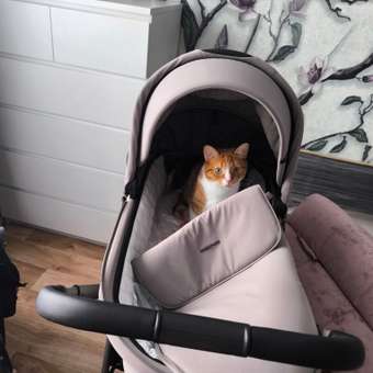 Коляска 3в1 MOWbaby Zoom new 3в1, milky бежевый: отзыв пользователя Детский Мир