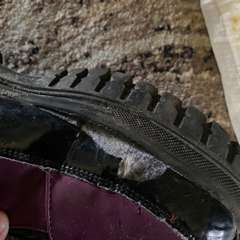 Фото отзыва 3815953