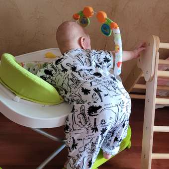 Ходунки Amarobaby: отзыв пользователя Детский Мир