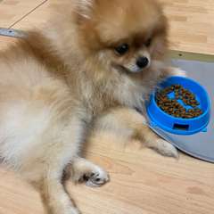 Фото отзыва 10733508