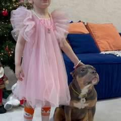 Фото отзыва 8355068