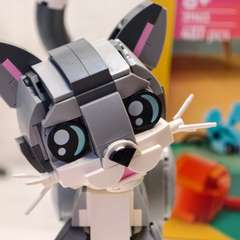 Фото отзыва 11120098