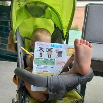 Коляска прогулочная Babyton Zoo Green: отзыв пользователя ДетМир