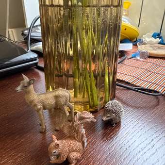 Фигурка Collecta Красная белка: отзыв пользователя Детский Мир