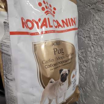 Корм для собак ROYAL CANIN породы мопс 1.5кг: отзыв пользователя. Зоомагазин Зоозавр