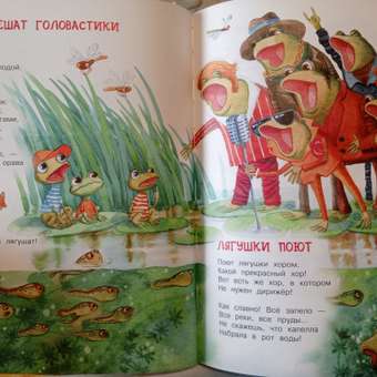 Книга Росмэн Любимая книга для детского сада: отзыв пользователя Детский Мир