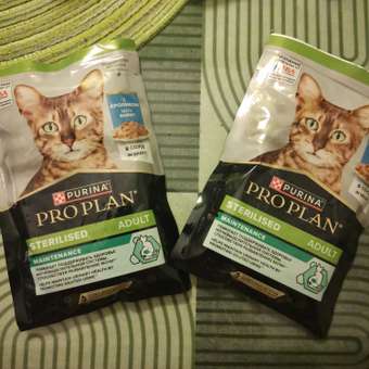 Корм PRO PLAN для стерилизованных кошек и кастрированных котов 85г кролик в соусе: отзыв пользователя. Зоомагазин Зоозавр