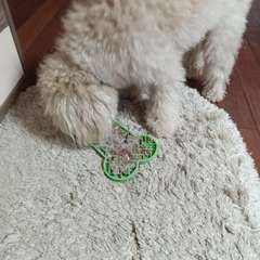 Фото отзыва 10896357