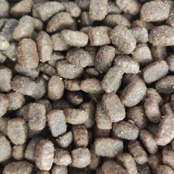 Корм для собак MONGE Monoprotein Mini мелких пород ягненок с рисом и картофелем 2.5кг: отзыв пользователя. Зоомагазин Зоозавр