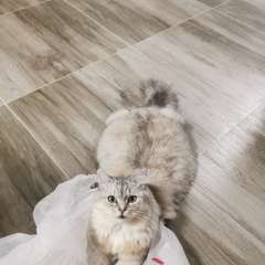 Фото отзыва 10548499