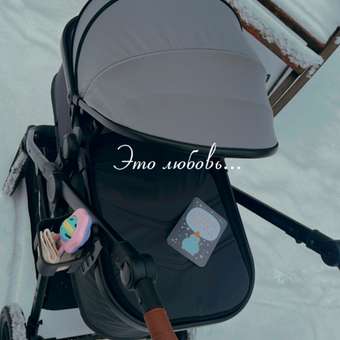 Коляска 2в1 Babyton Sandy Grey серый: отзыв пользователя ДетМир