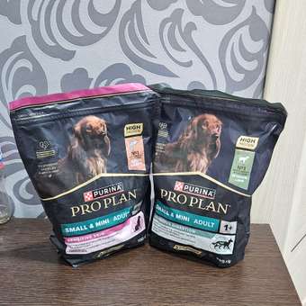 Корм сухой для собак PRO PLAN SENSITIVE DIGESTION 700г с ягненком для мелких пород: отзыв пользователя. Зоомагазин Зоозавр