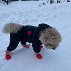 Фото отзыва 10937481