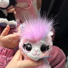 Фото отзыва 11269343