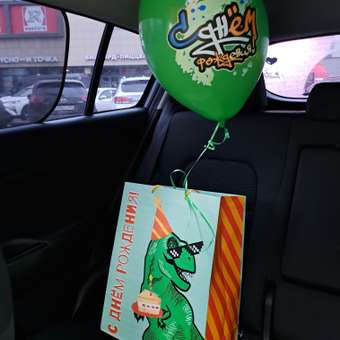 Пакет ФП Тирекс пати 33*40.6*16: отзыв пользователя Детский Мир