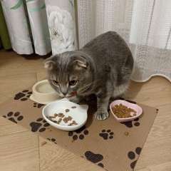 Фото отзыва 10768717