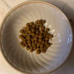 Фото отзыва 10936093