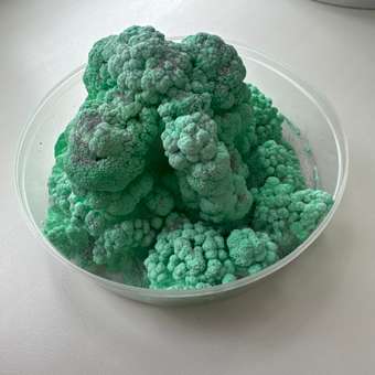 Набор для опытов Re-агенты Коралловый риф: отзыв пользователя Детский Мир