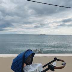 Фото отзыва 10725828