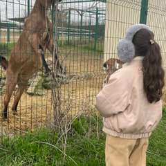 Фото отзыва 10643773