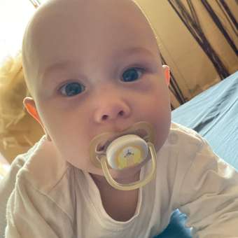 Пустышка Philips Avent от 6 мес. 2 шт.: отзыв пользователя ДетМир