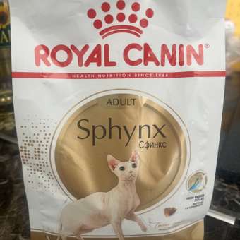 Корм сухой для кошек ROYAL CANIN Sphynx 400г породы сфинк: отзыв пользователя. Зоомагазин Зоозавр
