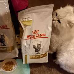 Фото отзыва 10634397