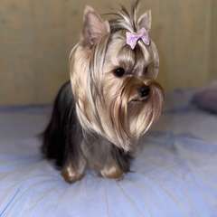 Фото отзыва 11266826