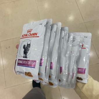 Корм для кошек ROYAL CANIN Renal with beef для поддержания функции почек 85г: отзыв пользователя. Зоомагазин Зоозавр