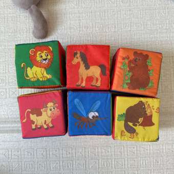 Игрушка Учитель кубики: отзыв пользователя Детский Мир