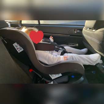 Автокресло Babyton Nord Fix Black-Grey Isofix 0+/1 (0-18 кг): отзыв пользователя ДетМир