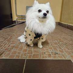 Фото отзыва 10499715