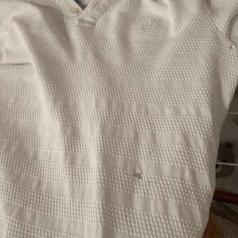 Футболка-поло Acoola: отзыв пользователя Детский Мир