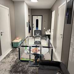 Фото отзыва 11039959