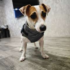 Фото отзыва 10994535