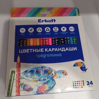 Карандаши цветные Erhaft 24 шт.: отзыв пользователя ДетМир