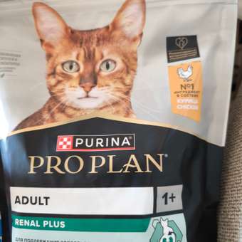 Корм сухой для кошек PRO PLAN RENAL PLUS 400г с курицы: отзыв пользователя. Зоомагазин Зоозавр