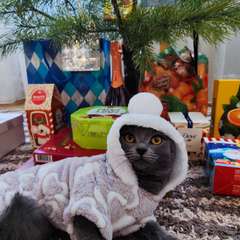 Фото отзыва 10840656