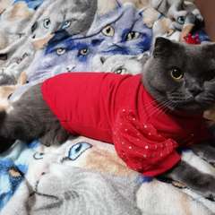 Фото отзыва 10616841