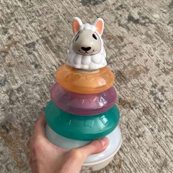 Игрушка Fisher Price пирамидка: отзыв пользователя Детский Мир
