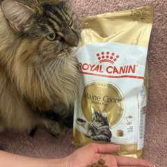 Фото отзыва 10726516