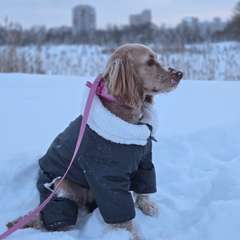 Фото отзыва 10914436