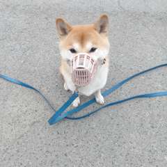 Фото отзыва 10652302