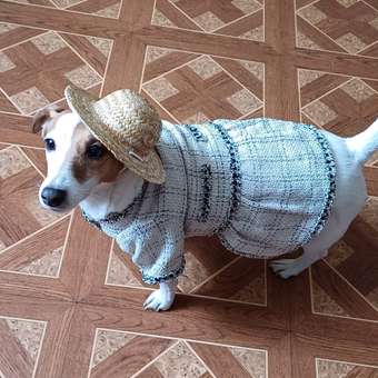 Платье для собак и кошек Зоозавр: отзыв пользователя. Зоомагазин Зоозавр