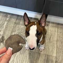 Фото отзыва 11134270