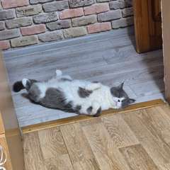 Фото отзыва 10763397