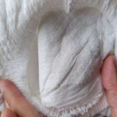 Фото отзыва 10698819