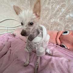 Фото отзыва 10803623